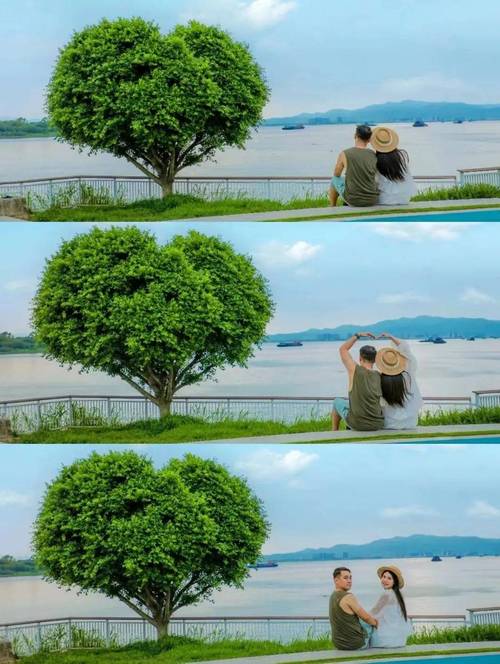 观看在线中心世界的网站_世界中心在线观看_世界中心在线电影