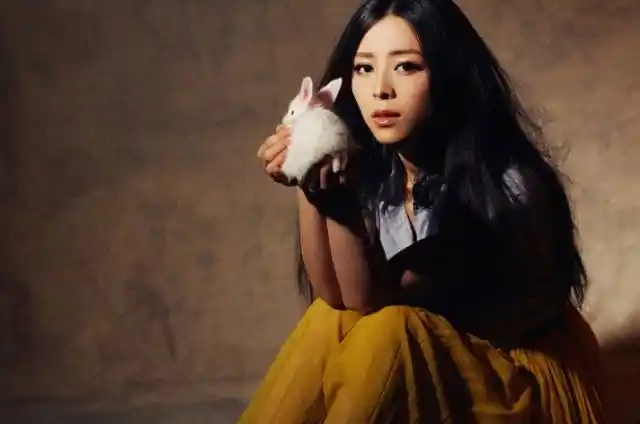 张柏芝 张静初 张韶涵张碧晨 张靓颖_娱乐圈张姓女明星