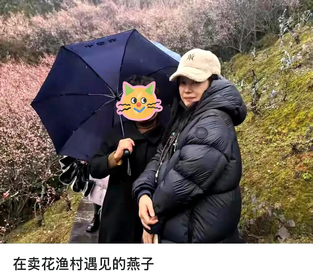 赵薇深夜发文感慨境遇变迁，还罕见跟网友互动，动作频繁疑谋复出